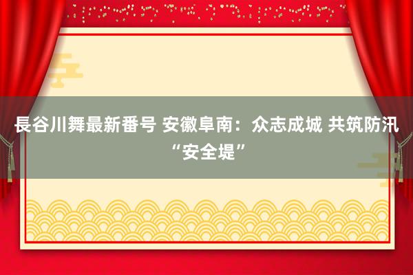 長谷川舞最新番号 安徽阜南：众志成城 共筑防汛“安全堤”