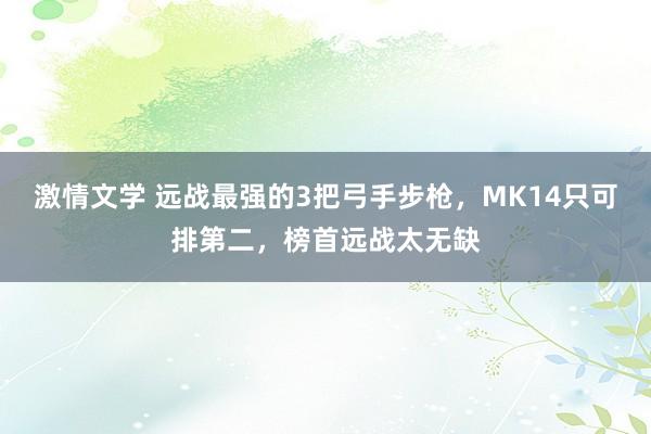 激情文学 远战最强的3把弓手步枪，MK14只可排第二，榜首远战太无缺