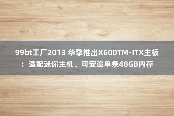 99bt工厂2013 华擎推出X600TM-ITX主板：适配迷你主机、可安设单条48GB内存