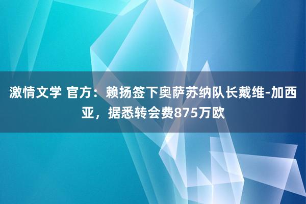 激情文学 官方：赖扬签下奥萨苏纳队长戴维-加西亚，据悉转会费875万欧