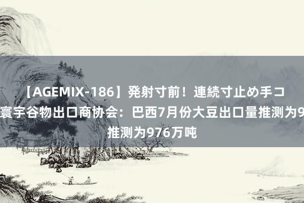 【AGEMIX-186】発射寸前！連続寸止め手コキ 巴西寰宇谷物出口商协会：巴西7月份大豆出口量推测为976万吨