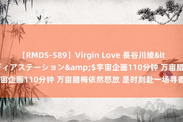 【RMDS-589】Virgin Love 長谷川綾</a>2010-05-17メディアステーション&$宇宙企画110分钟 万亩腊梅依然怒放 是时刻赴一场寻香之旅了！