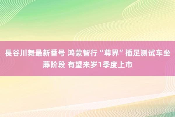 長谷川舞最新番号 鸿蒙智行“尊界”插足测试车坐蓐阶段 有望来岁1季度上市