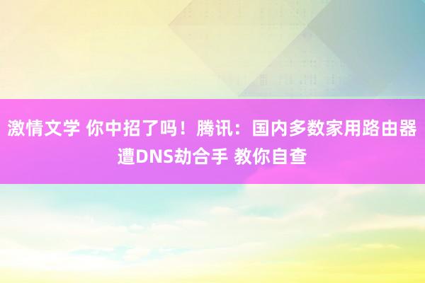 激情文学 你中招了吗！腾讯：国内多数家用路由器遭DNS劫合手 教你自查