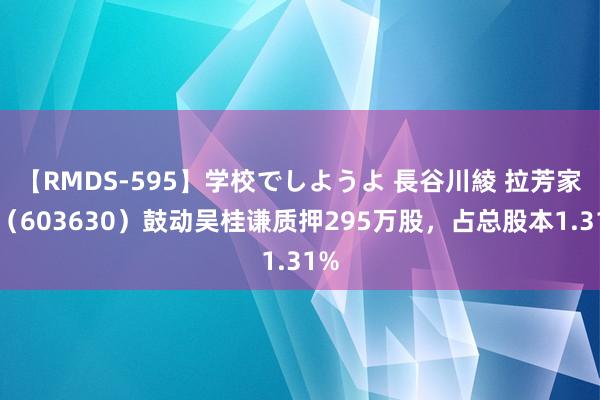 【RMDS-595】学校でしようよ 長谷川綾 拉芳家化（603630）鼓动吴桂谦质押295万股，占总股本1.31%