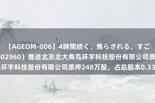 【AGEOM-006】4時間続く、焦らされる、すごい亀頭攻め 青鸟消防（002960）推进北京北大青鸟环宇科技股份有限公司质押248万股，占总股本0.33%