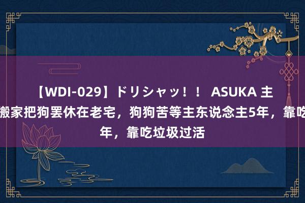 【WDI-029】ドリシャッ！！ ASUKA 主东说念主搬家把狗罢休在老宅，狗狗苦等主东说念主5年，靠吃垃圾过活