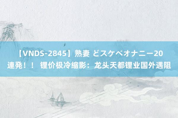 【VNDS-2845】熟妻 どスケベオナニー20連発！！ 锂价极冷缩影：龙头天都锂业国外遇阻