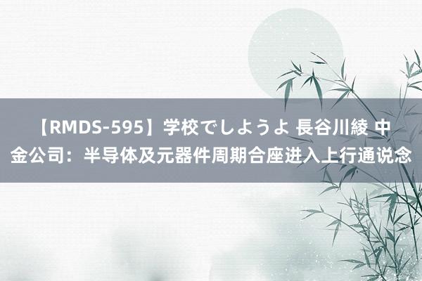 【RMDS-595】学校でしようよ 長谷川綾 中金公司：半导体及元器件周期合座进入上行通说念