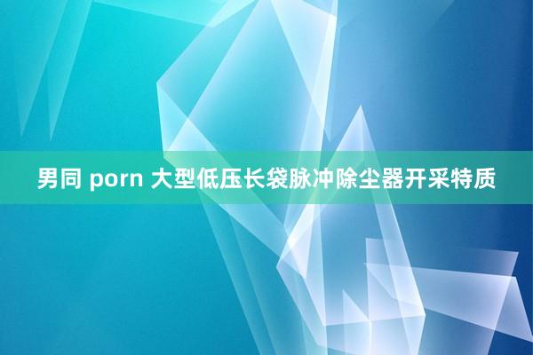 男同 porn 大型低压长袋脉冲除尘器开采特质