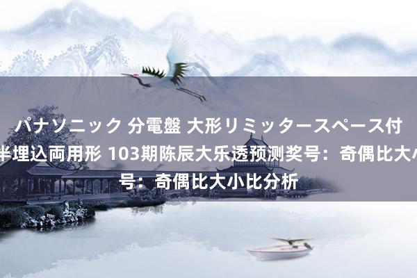 パナソニック 分電盤 大形リミッタースペース付 露出・半埋込両用形 103期陈辰大乐透预测奖号：奇偶比大小比分析