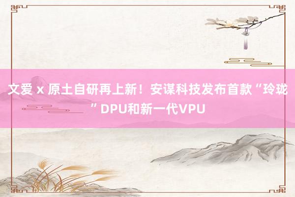 文爱 x 原土自研再上新！安谋科技发布首款“玲珑”DPU和新一代VPU