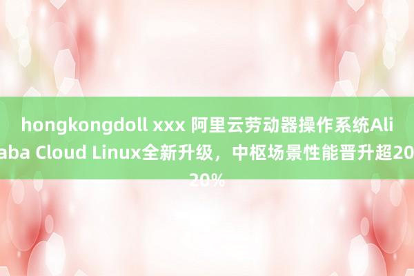 hongkongdoll xxx 阿里云劳动器操作系统Alibaba Cloud Linux全新升级，中枢场景性能晋升超20%