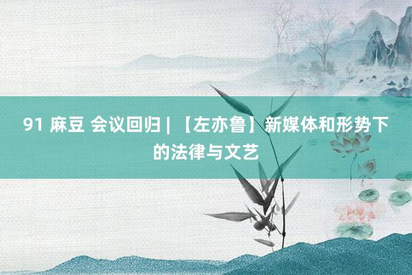 91 麻豆 会议回归 | 【左亦鲁】新媒体和形势下的法律与文艺