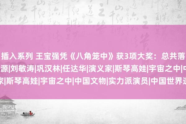 插入系列 王宝强凭《八角笼中》获3项大奖：总共落魄王人化作前行的能源|刘敏涛|巩汉林|任达华|演义家|斯琴高娃|宇宙之中|中国文物|实力派演员|中国世界遗产