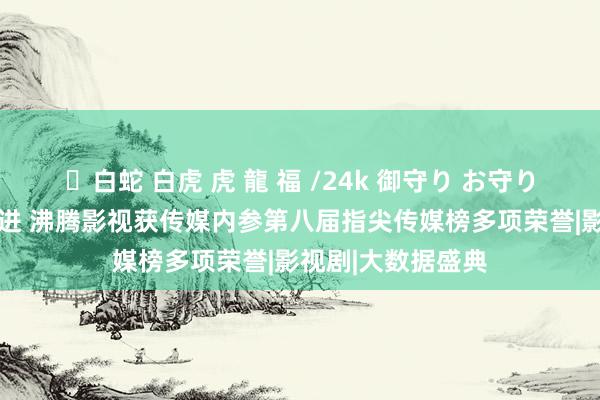 ✨白蛇 白虎 虎 龍 福 /24k 御守り お守り 守正改进稳中求进 沸腾影视获传媒内参第八届指尖传媒榜多项荣誉|影视剧|大数据盛典