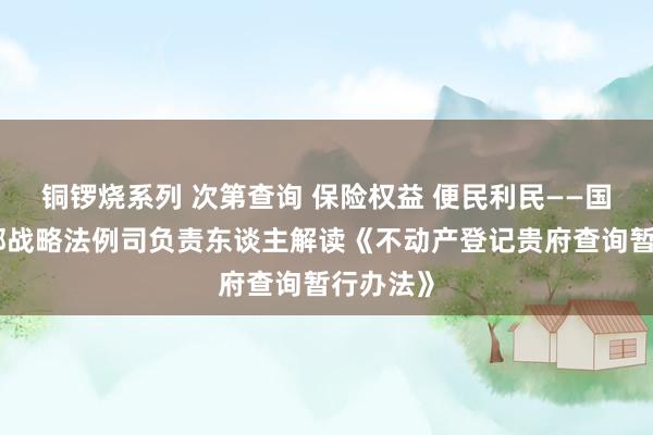 铜锣烧系列 次第查询 保险权益 便民利民——国土资源部战略法例司负责东谈主解读《不动产登记贵府查询暂行办法》