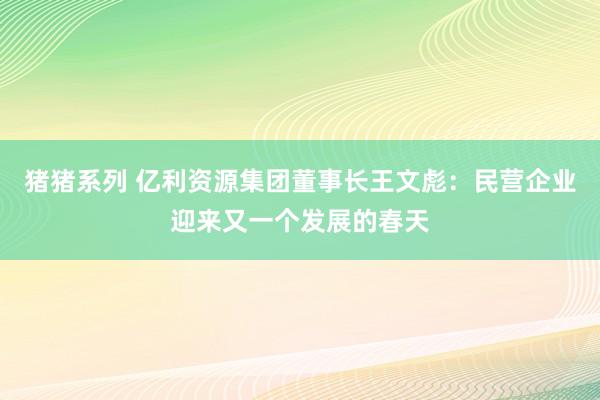 猪猪系列 亿利资源集团董事长王文彪：民营企业迎来又一个发展的春天